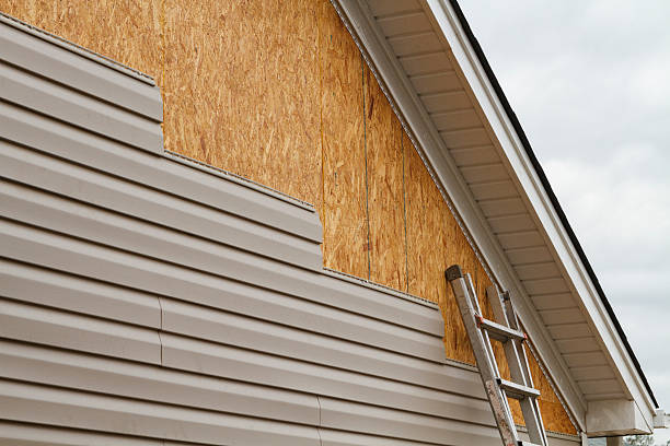 Professional Wood Siding technician working in Blaine, TN